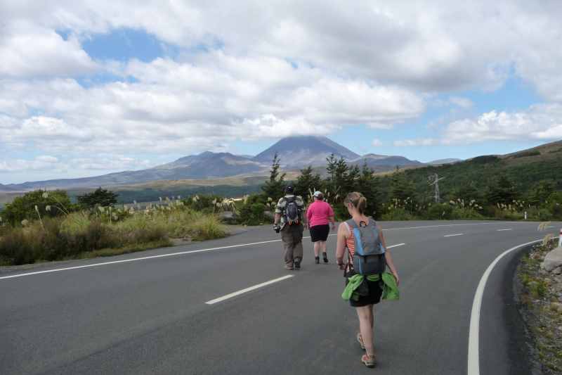 Nieuw-Zeeland 2011 - 0873